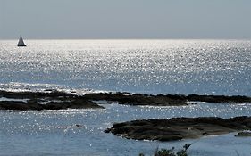 Bed And Breakfast Vitamin Sea